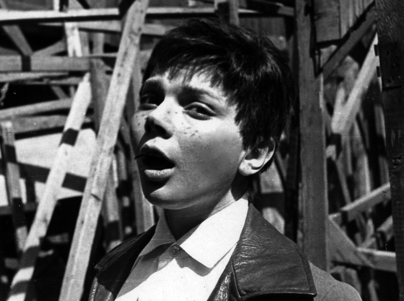 Пять вечеров